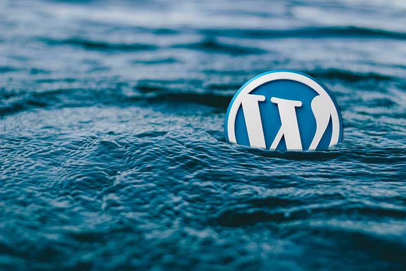 especialistas_wordpress especialistas wordpress